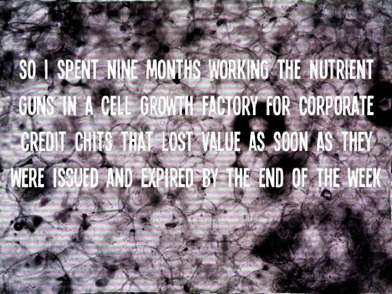So I spent nine months working the nutrient guns in a cell growth factory for corporate credit chits that lost value as soon as they were issued and expired by the end of the week. 