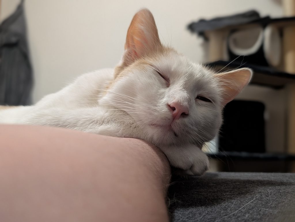 Nappy Neb
