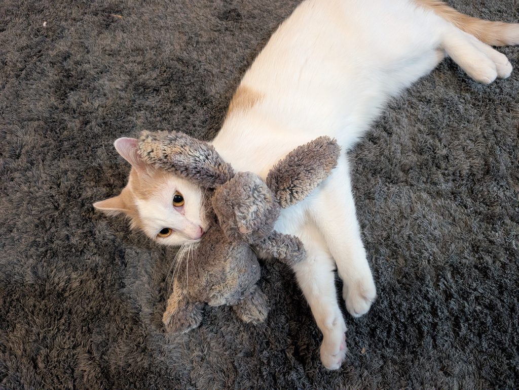 Neb-cho and the Bunnyman