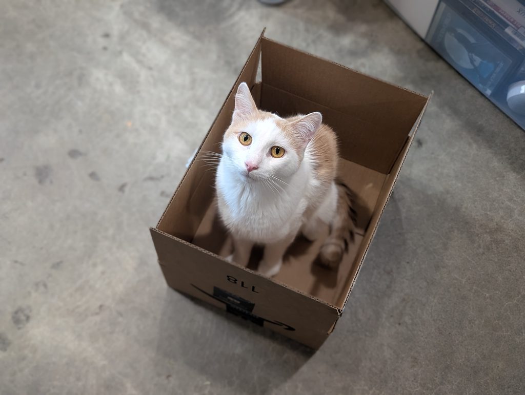 I'm a Neb in a Box